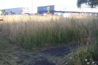 Débroussaillage d'espaces vert